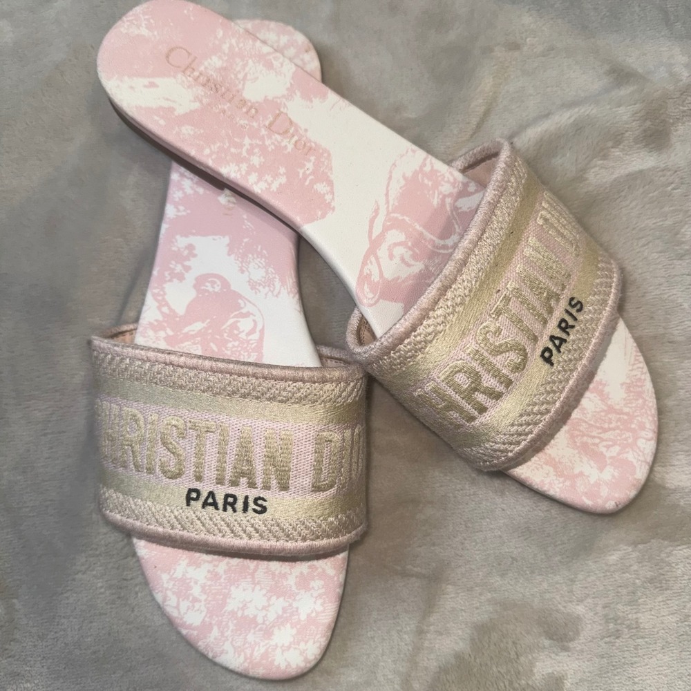 Christian Dior Dway Toile de Jouy Pink Embroidered Slide Sandals Size 39